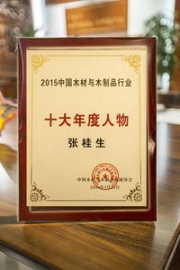 中国木制品行业十大年度人物